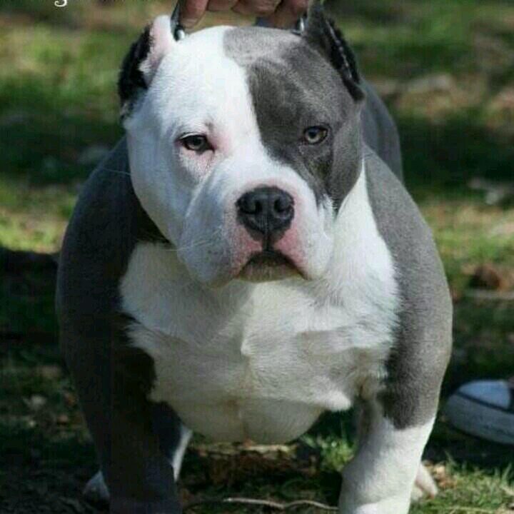 kjgrandson's profile picture. 