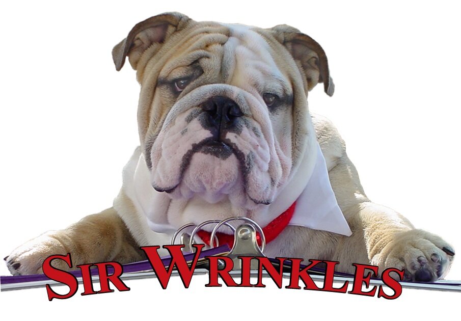 SirWrinklesDog's profile picture. I am an extraordinary English Bulldog.  Three delightful children's books have been written about me and my friends!
