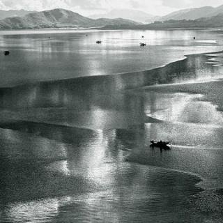 shaonianchou's profile picture. 