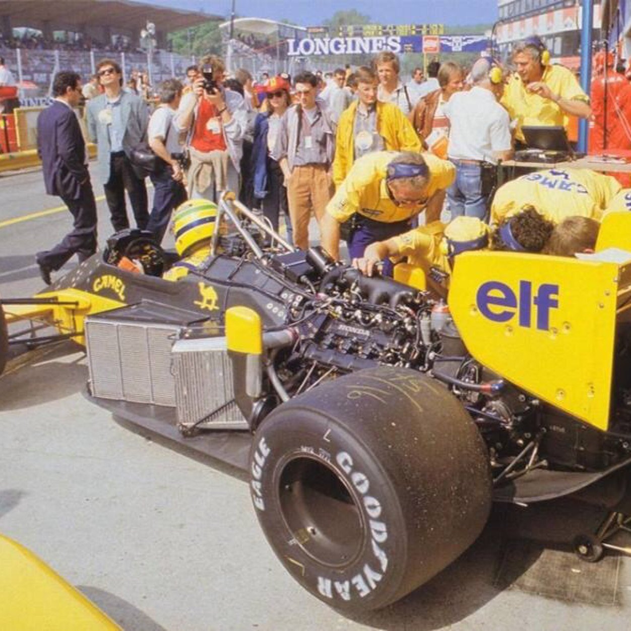 dalerosenberg's profile picture. 