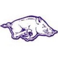 Walhalla Softball (@1razorsoftball) 's Twitter Profile