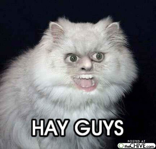 Ppeerrss's profile picture. Ровный пацан