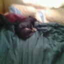 Dawn Patton - @Dp48Dawn - Twitter