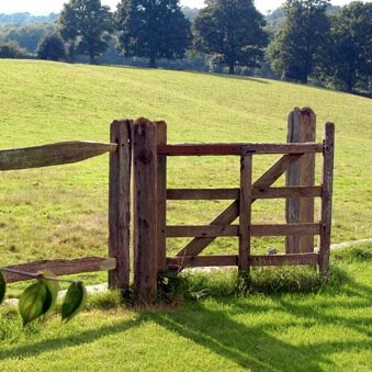 coopers_farm's profile picture. Traditional farm with cattle, sheep, pigs, bees and chickens.  Delicious meat sold from the farm and a 5* holiday cottage that sleeps four in secluded luxury