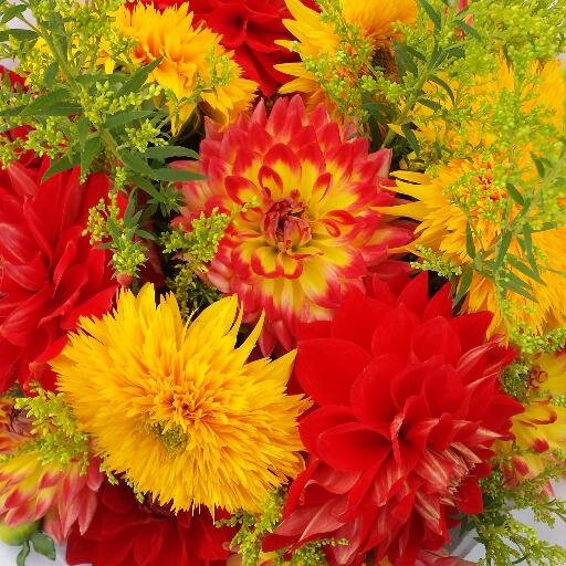 Family-owned farm in the Kent Valley. Beautiful #flowers for any occasion! Local. #Fresh. Affordable.