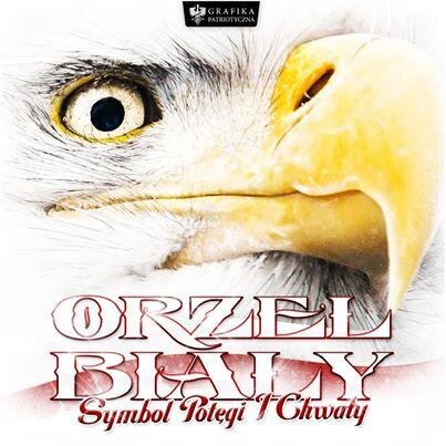 AndrzejOskar's profile picture. 