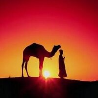 kandemir (@kndmro) 's Twitter Profile