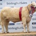 Scott Gallacher  - @ScottGallacher7 - Twitter