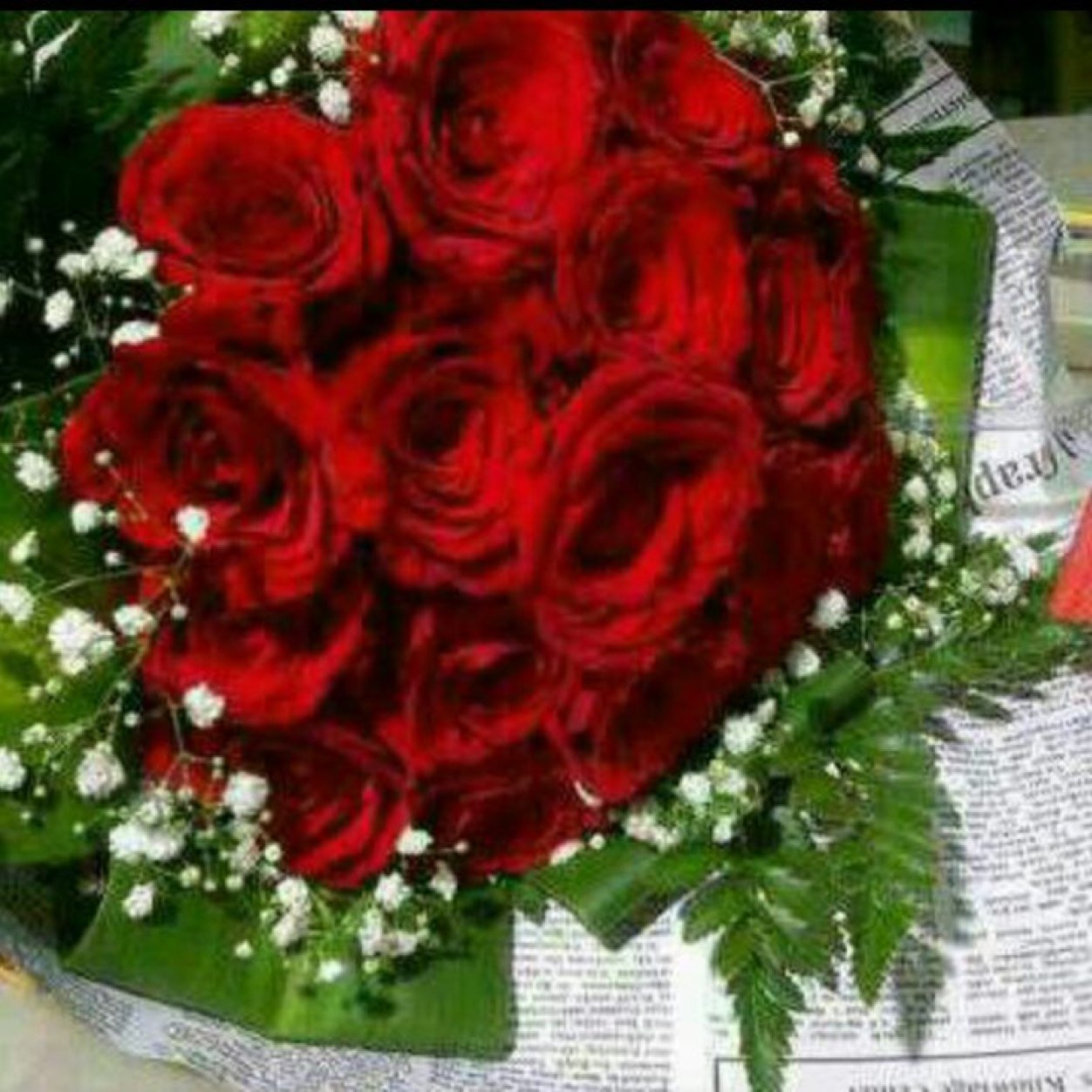 ( وقل رب أدخلني مدخل صدق وأخرجني مخرج صدق وجعل لي من لدنك سلطانا نصيرا )