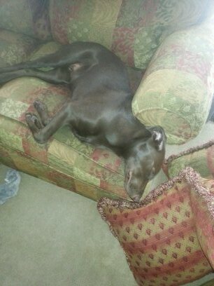 tinafan's profile picture. 