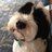 DPowell12345's profile image