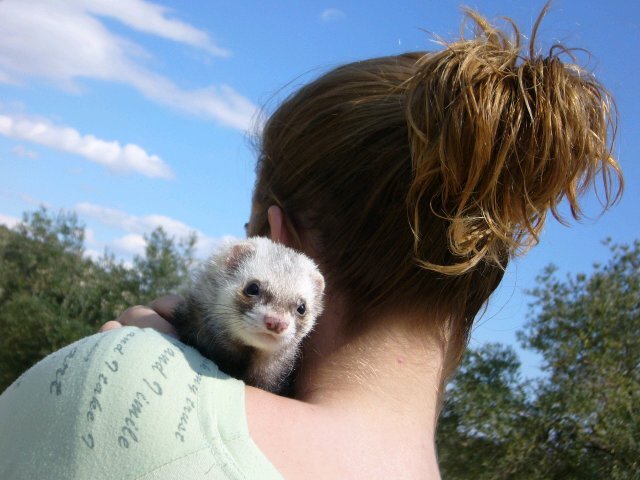 UmiIrene's profile picture. 