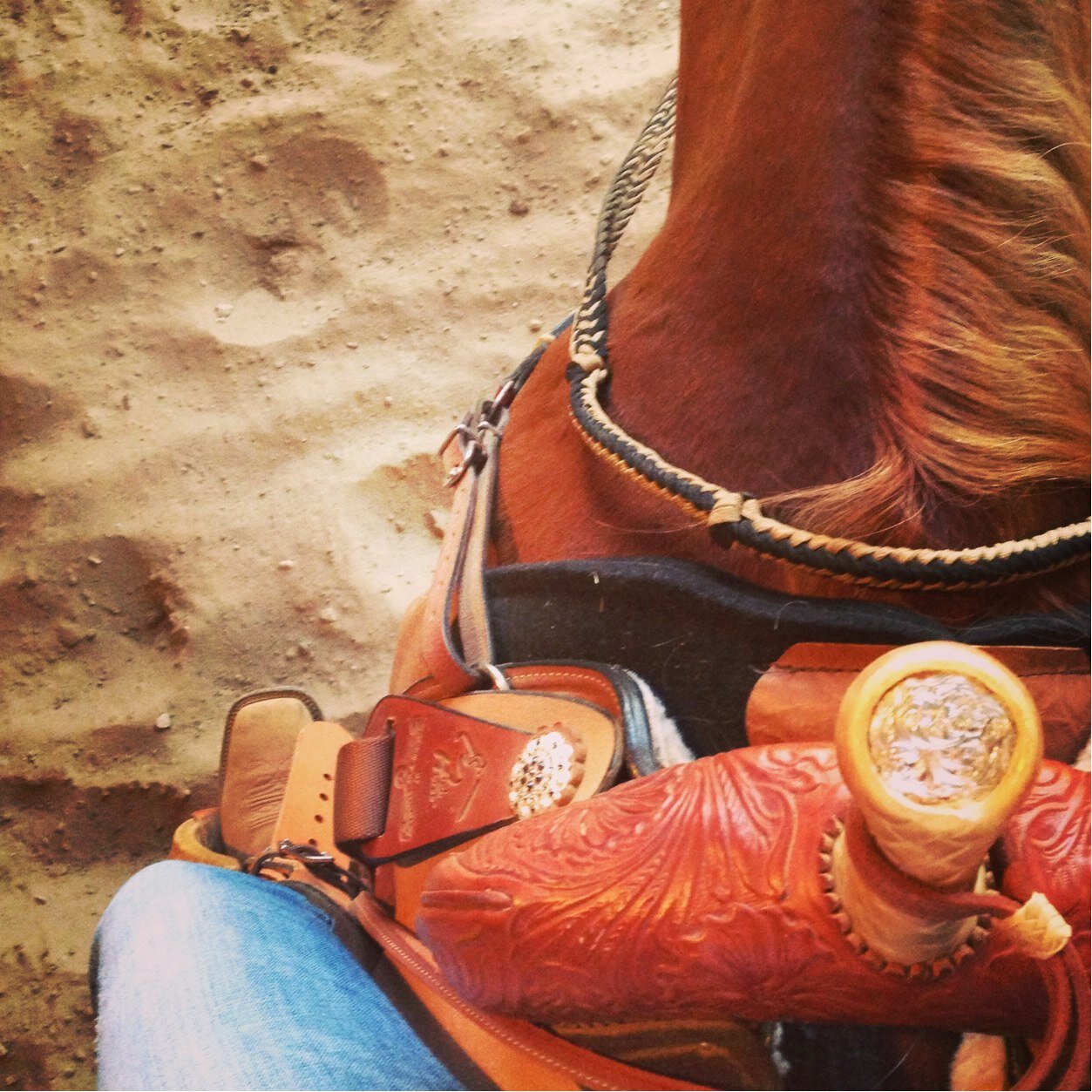 Cowgirls were not meant to be tamed.  They need to run free till they find someone wild enough to run with them #gypsysoules #rodeolife ✌