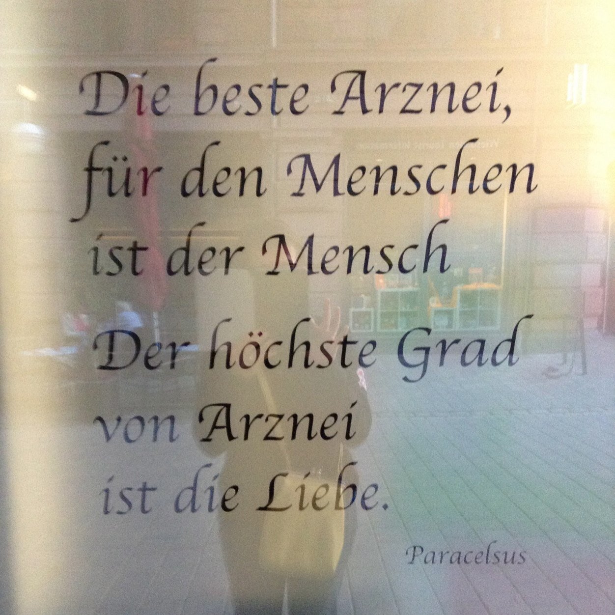 muxmeiserl's profile picture. 