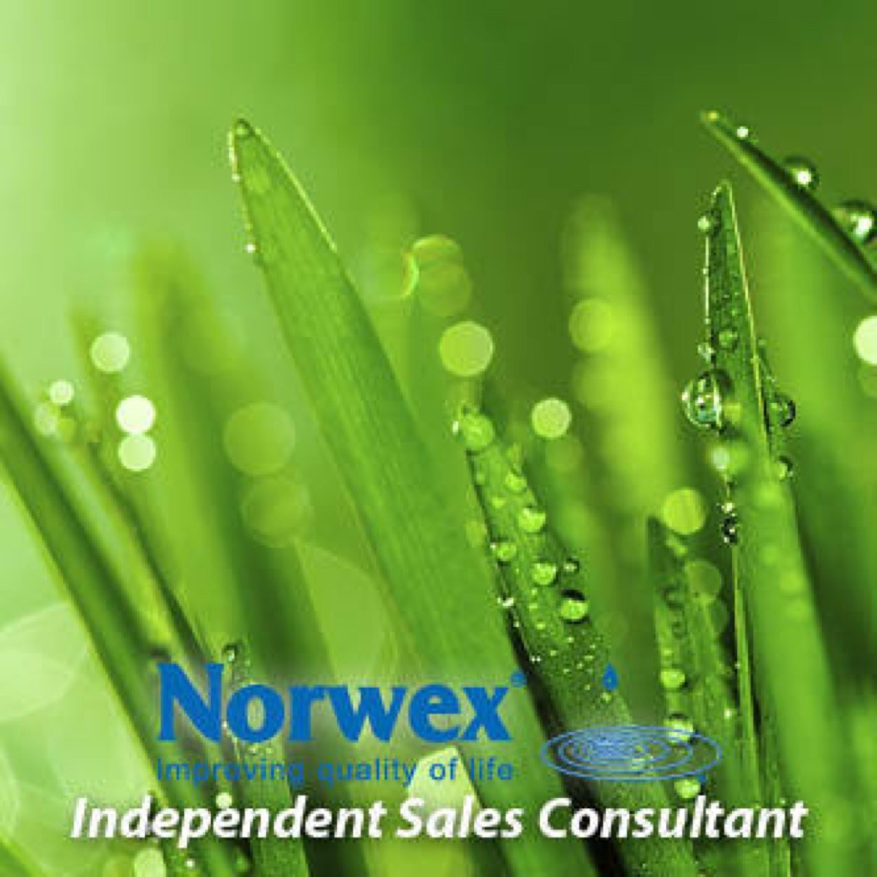 This account is dedicated to NORWEX! Thus, NORWEX products are a eco-friendly alternative for cleaning supplies. For information click the link below.