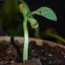 Andrea Rowe - @AndreaRowe3 - Twitter