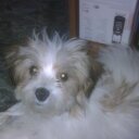 Janet Marker - @MarkerJanet - Twitter