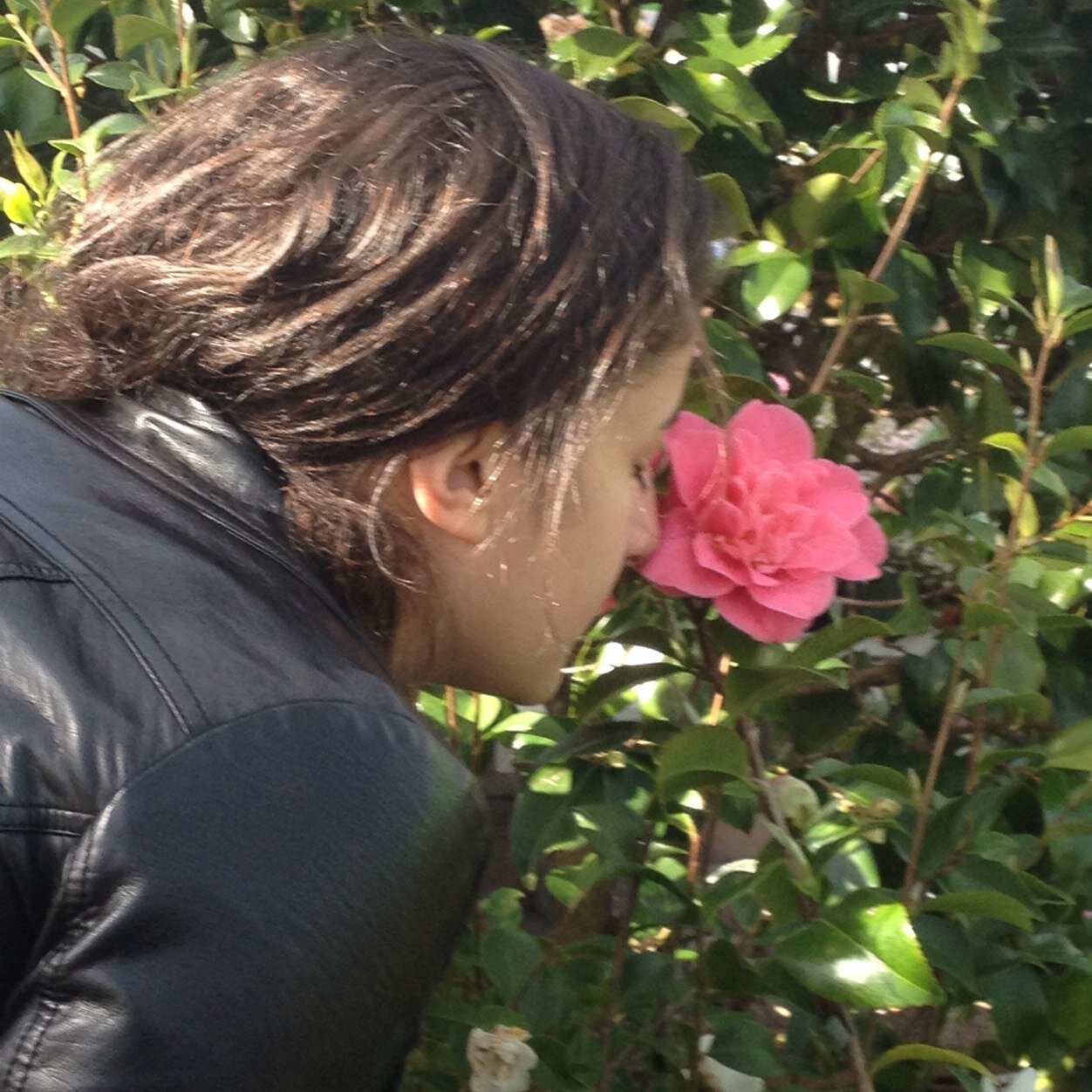 dorsasoltan's profile picture. #dfts