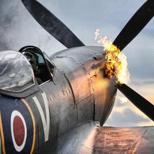 Aircraft enthusiast, interested in shooting and motorsport