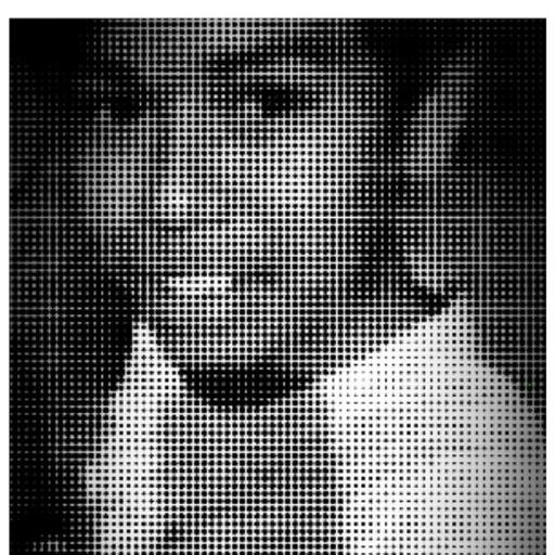 MarioFMeda's profile picture. j