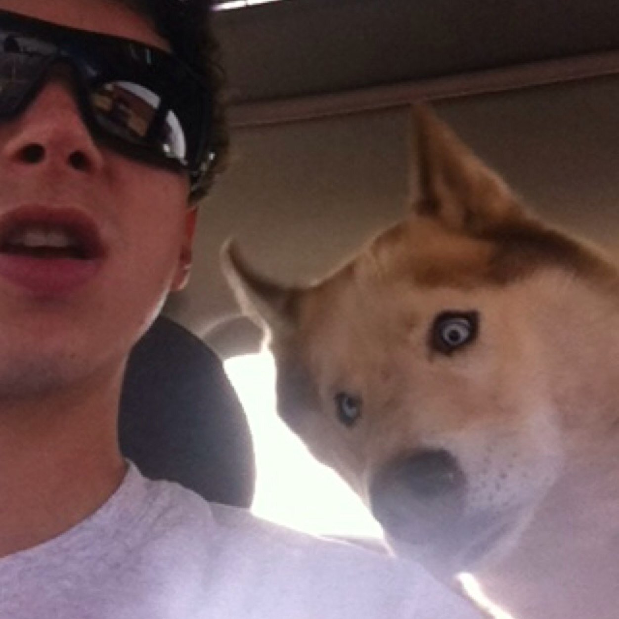 JAM_DOT_'s profile picture. ♪♫♪♫♪♫♪♫♪♫♪♊♪♫♪♫♪♫♪♪♫♪♫♪