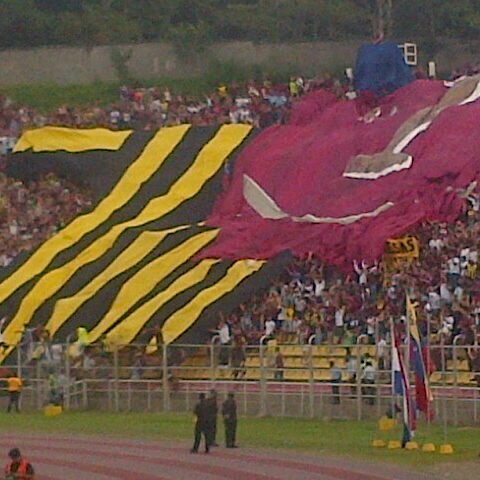 cdrl_10's profile picture. Gocho Humilde y del Deportivo Tachira 100%