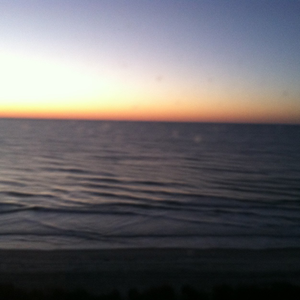 tangles77's profile picture. 