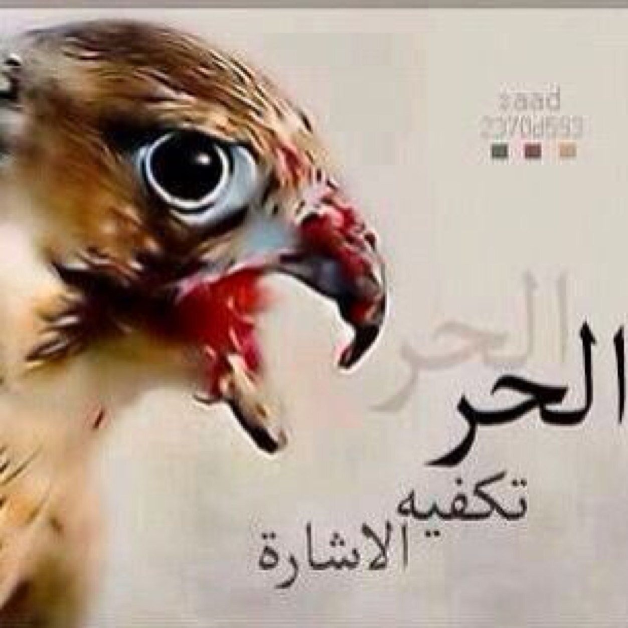 ياللي على دفتر ايامي كتبت و رسمت
ابشرك راحت ايام السهر و الشموع 

البارحه مرّ طيفك بالغلط و ابتسمت !
ما عادت الذكريات تجيب راس الدموع”
