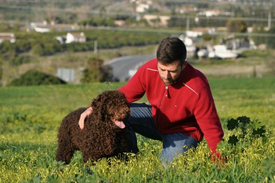 Cría y Selección del perro de agua español