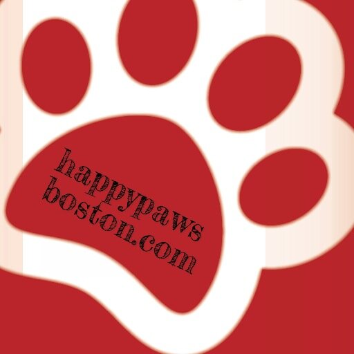 HappyPawsBoston's profile picture. Happy Paws Boston is your dependable and trustworthy partner for all your in-home pet care needs. Pet Sitting, Dog Walking, Pet Concierge and Training.