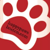 Happy Paws Boston (@happypawsboston) 's Twitter Profile
