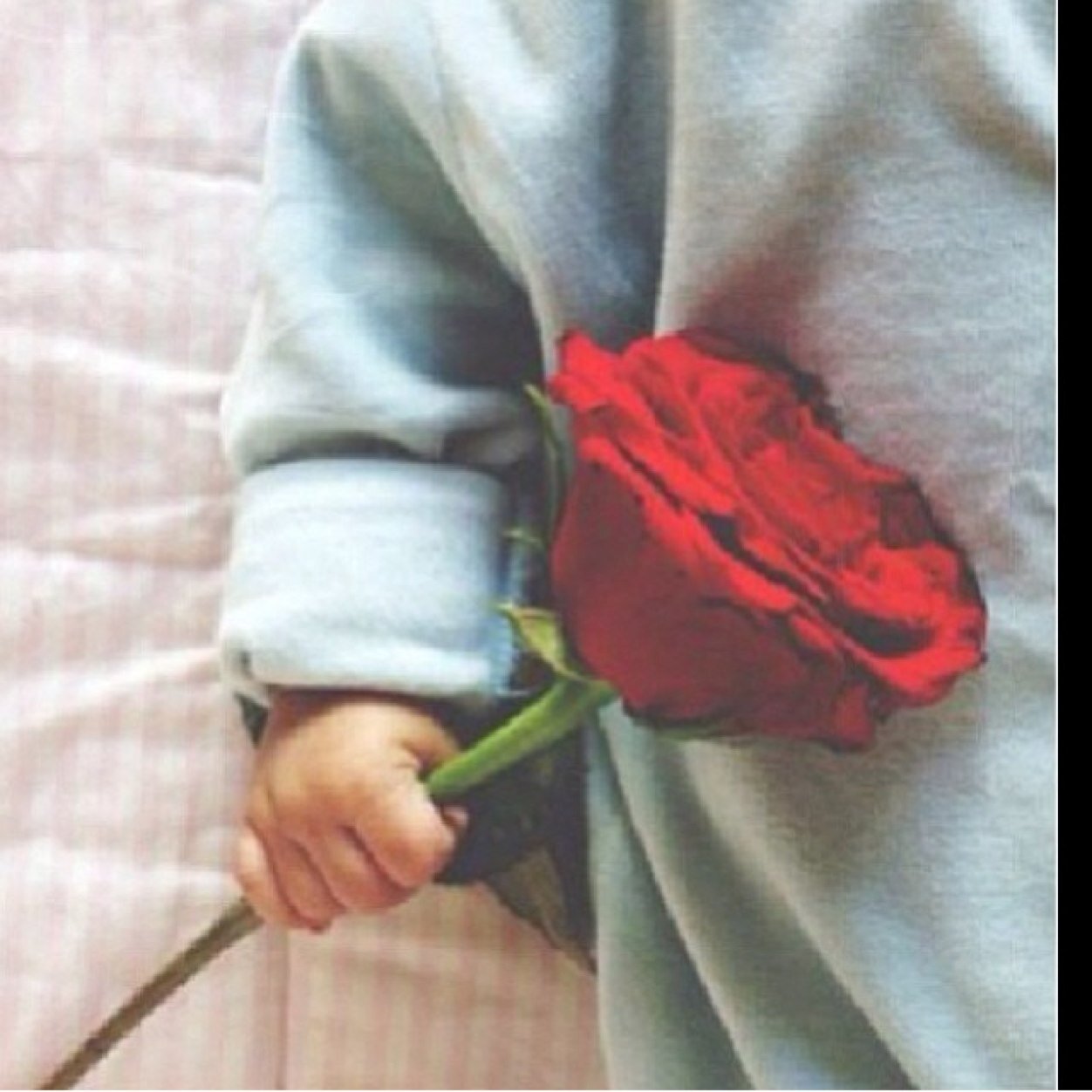055044Roofa's profile picture. انستغرام Rofa99999