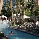 Cara Hart - @CaraBurlingame - Twitter