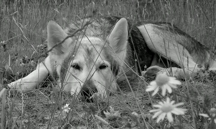 TeamAkna's profile picture. 