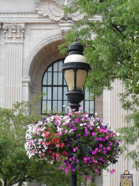 The Passionate Gardeners behind York's hanging baskets, City greenscape improvement projects and college scholarships