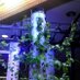 Custom Aeroponics (@customaeroponic) Twitter profile photo
