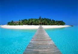 eTripinsurance's profile picture. Feel safe and secure when on vacation, don't let the unknown ruin it. Travel Insured