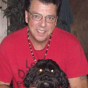 dragophoneix's profile picture. average looney toon lol