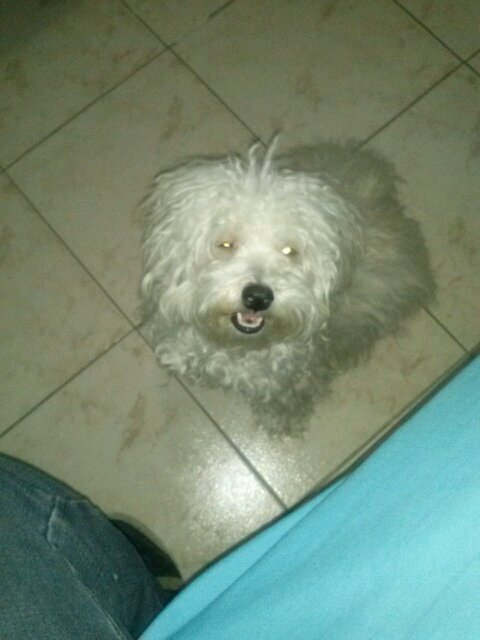 TelloArteaga's profile picture. 