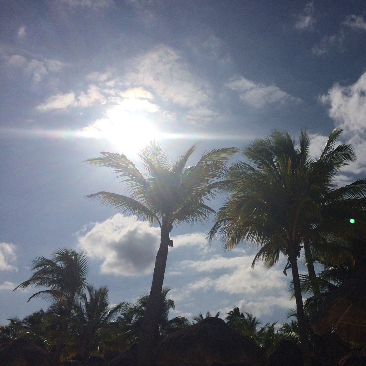 trojangirl68's profile picture. 