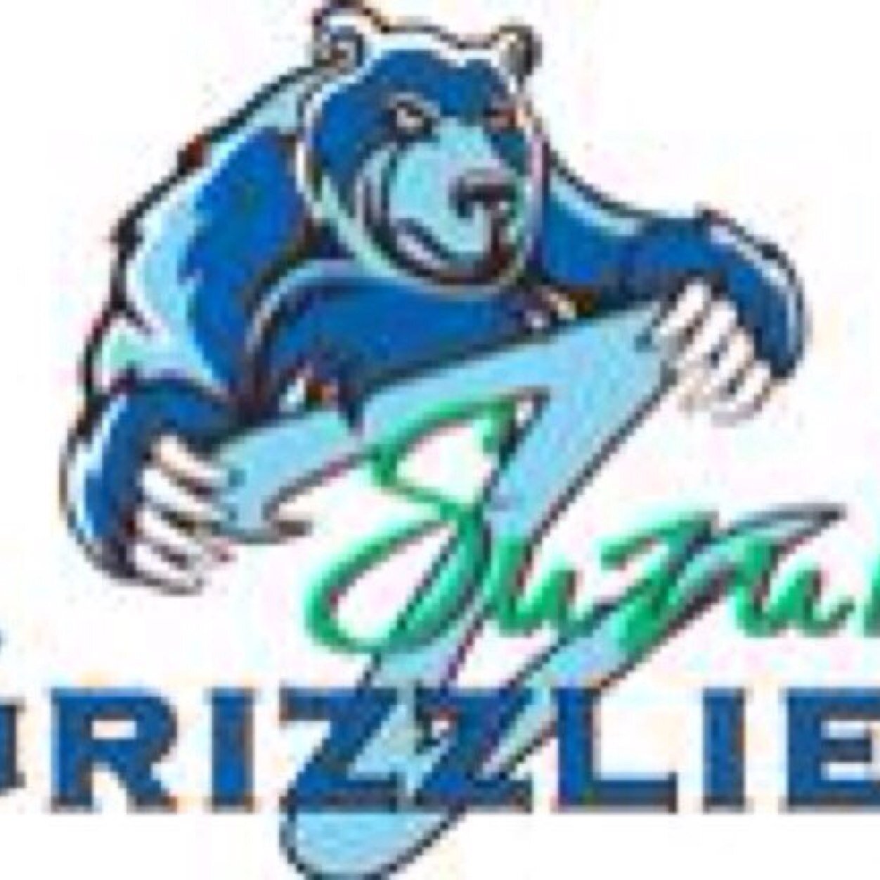 Twitter account for the David Suzuki Rugby program. Follow for information about practices, games, and more.
