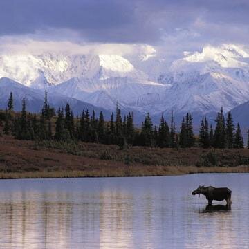 ETOHAP's profile picture. 