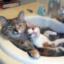 Jeff Watt - @JeffWatt90 - Twitter