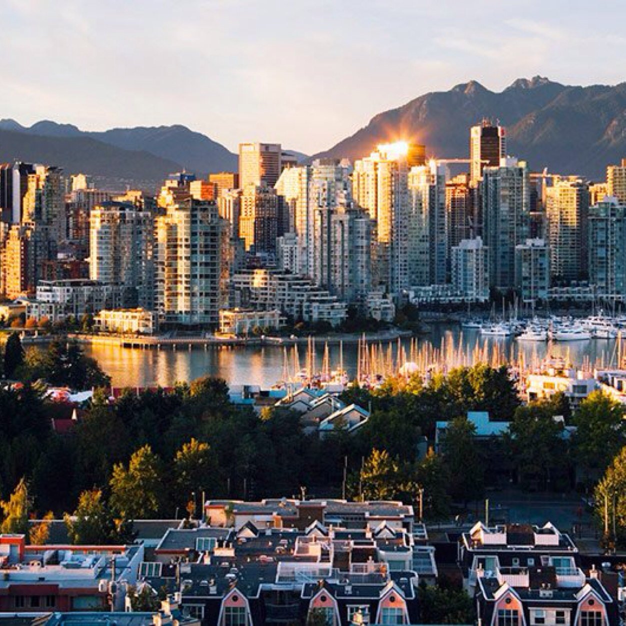 Wkzzzi's profile picture. I work on TV and Movie sets. I love Video Games and I love to travel.