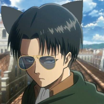 I'm a fucking half cat that's obsessed with Windex and Tide | Rp? |