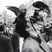 kayıp şair (@_muhibbi__) 's Twitter Profile