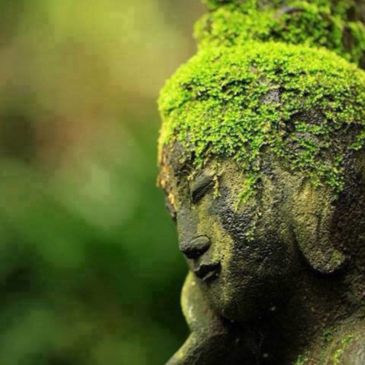 mindfulmeredith's profile picture. Live the Life you want. Focus on your breath. breathe in, breathe out. be mindful. remember everybody poops.