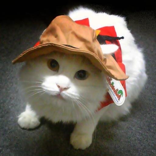 Tama