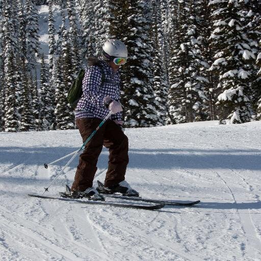 ~ ~ Skier~Photographer~RunnersMomGoHawks~