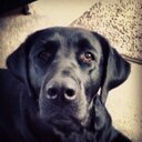 Daniel Riggan - @daniel_riggan - Twitter